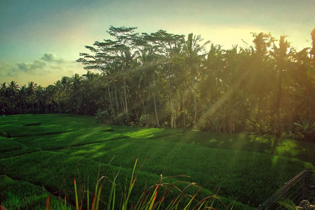 Warisan Ubud Villa 0*, Ουμπούντ